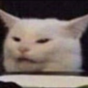 Meet your Posher, Dion